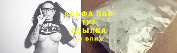 ГАЛЛЮЦИНОГЕННЫЕ ГРИБЫ Переславль-Залесский