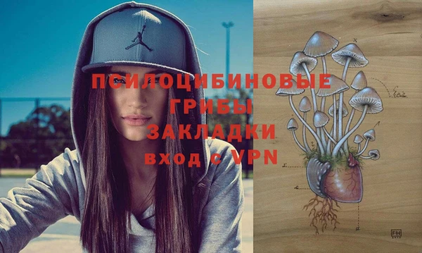 ALPHA PVP Пестово