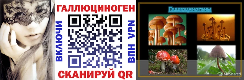 цены наркотик  Скопин  Псилоцибиновые грибы MAGIC MUSHROOMS 