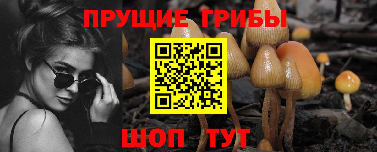 Псилоцибиновые грибы Cubensis  Галлюциногенные грибы мицелий  Скопин  Вход с VPN 
